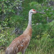 H1P2027 - Version 2 : NoteCard_Set_Q